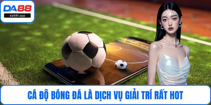 Cá độ bóng đá là dịch vụ giải trí rất hot