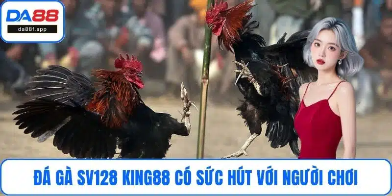 Đá gà SV128 King88 có sức hút với người chơi