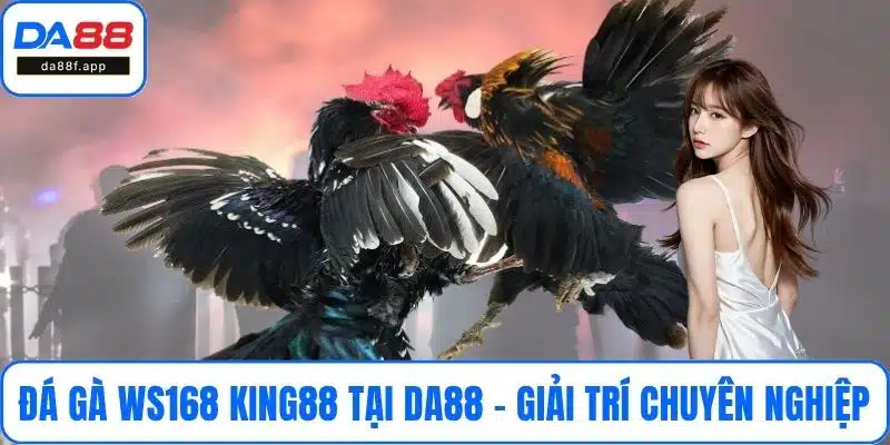 Đá Gà Ws168 King88 Tại DA88 – Giải Trí Chuyên Nghiệp