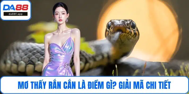 mơ thấy rắn cắn